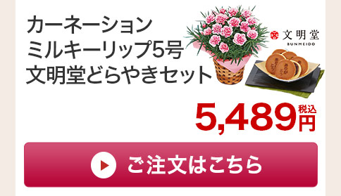カーネーションミルキーリップ どらやきセットご注文はこちら