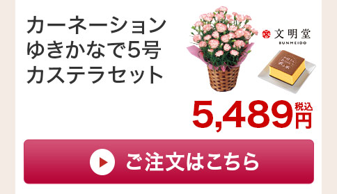 カーネーションゆきかなで カステラセットご注文はこちら