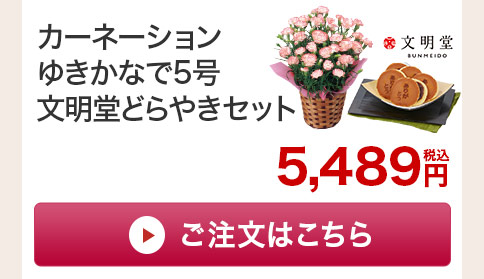 カーネーションゆきかなで どらやきセットご注文はこちら
