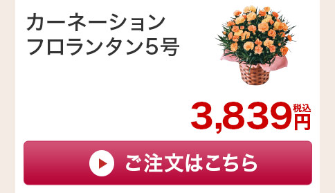 カーネーションフロランタン　花のみご注文はこちら