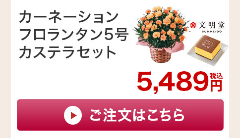 カーネーションフロランタン カステラセットご注文はこちら