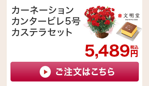 カーネーションカンタービレ カステラセットご注文はこちら