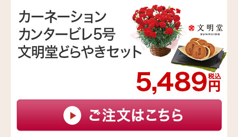 カーネーションカンタービレ どらやきセットご注文はこちら