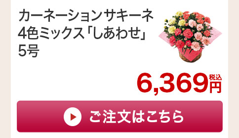 カーネーションしあわせ　花のみご注文はこちら