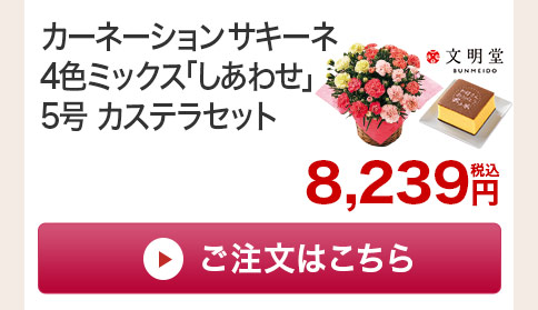 カーネーションカンタービレ　カステラセットご注文はこちら