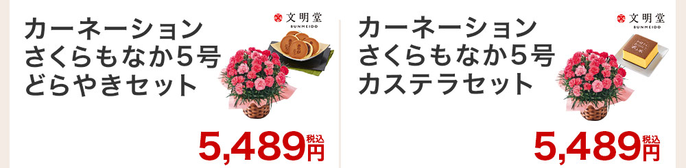 人気ナンバー1 カーネーションのさくらもなかとお菓子セット