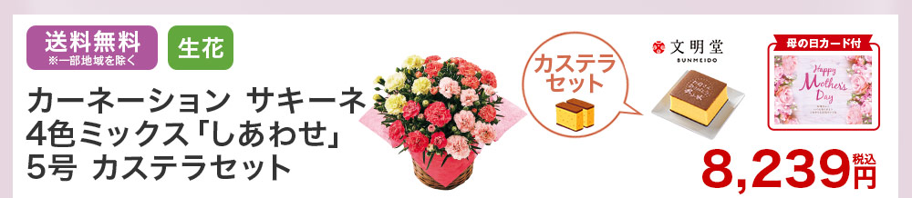 カーネーションとカステラセット