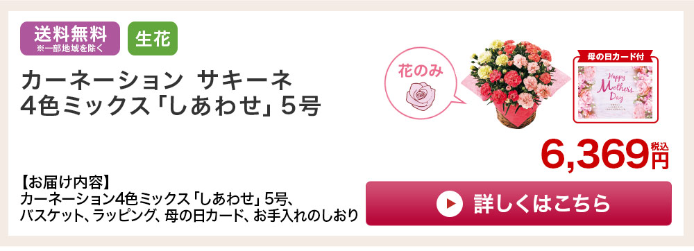 カーネーション4色ミックス「しあわせ」