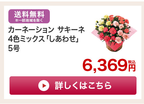 カーネーションとカステラセットはこちら