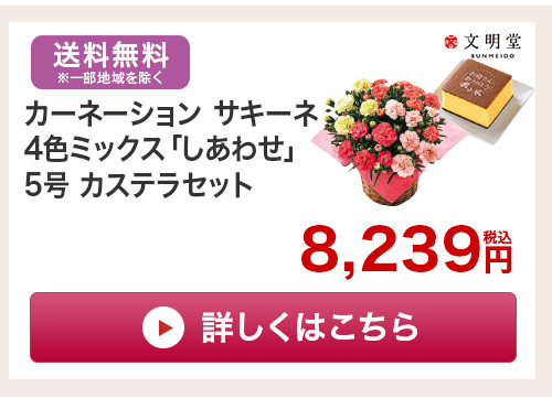 カーネーションとどらやきセットはこちら