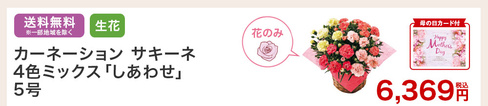 母の日カード付