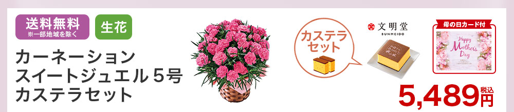 カーネーションとカステラセット