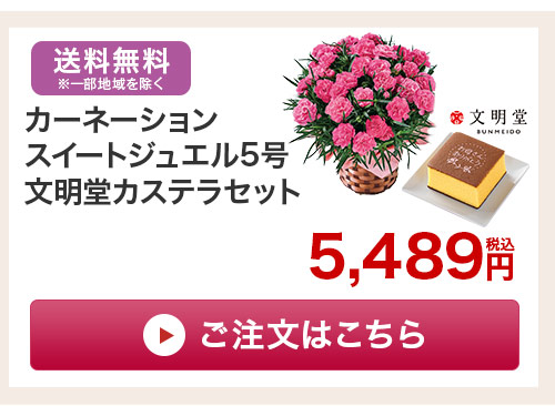 カステラセットはこちら