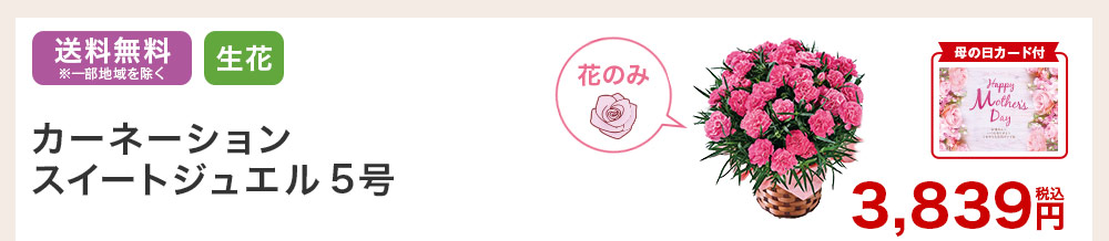 母の日カード付