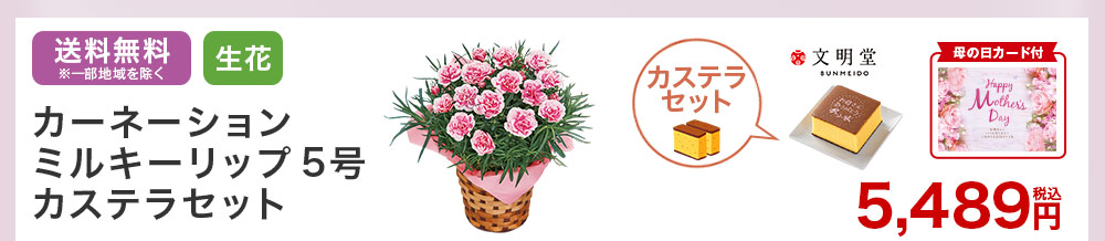 カーネーションとカステラセット