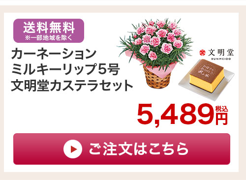 カステラセットはこちら