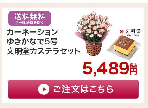 カステラセットはこちら