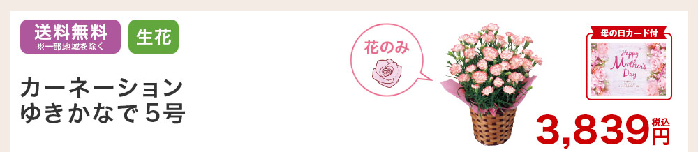 母の日カード付