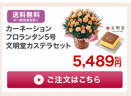 カステラセットはこちら