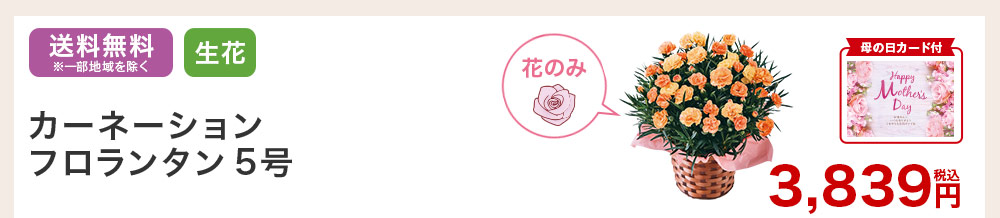 母の日カード付