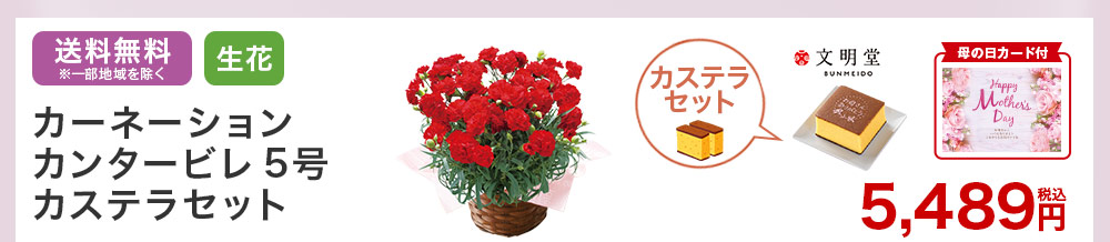 カーネーションとカステラセット