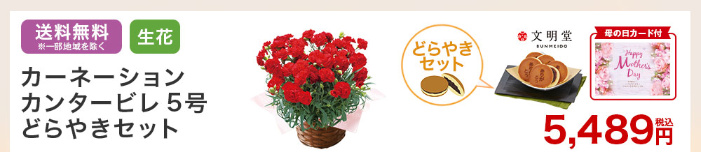 カーネーションとどらやきセット