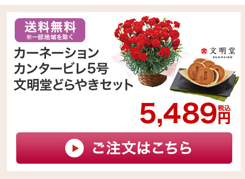 どらやきセットはこちら