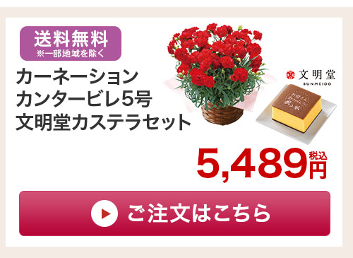 カステラセットはこちら