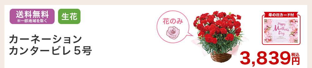 母の日カード付