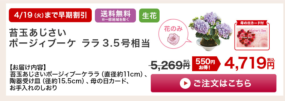 苔玉あじさいポージィブーケララ  詳しくはこちら