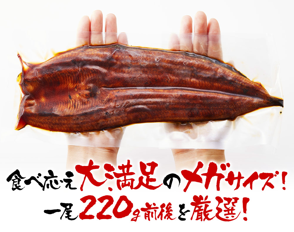 食べ応え大満足のメガサイズ！一尾220g前後を厳選！