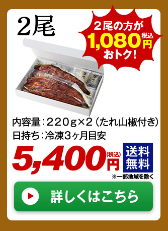 メガ！超特大！鹿児島県産うなぎ蒲焼き 2尾