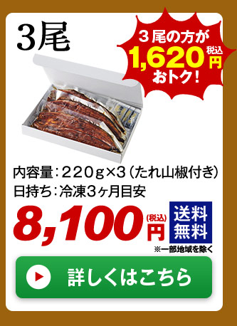 メガ！超特大！鹿児島県産うなぎ蒲焼き 3尾