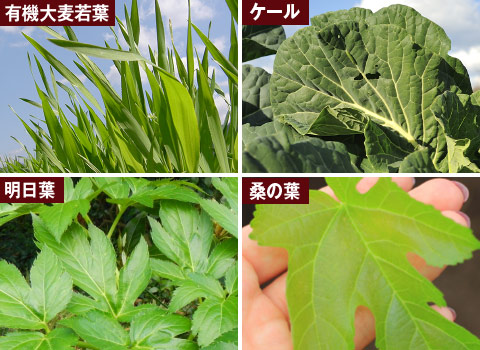 厳選した国産野菜を使用しました！