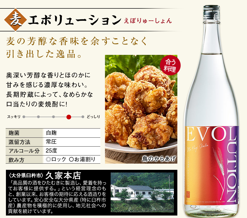 エボリューション