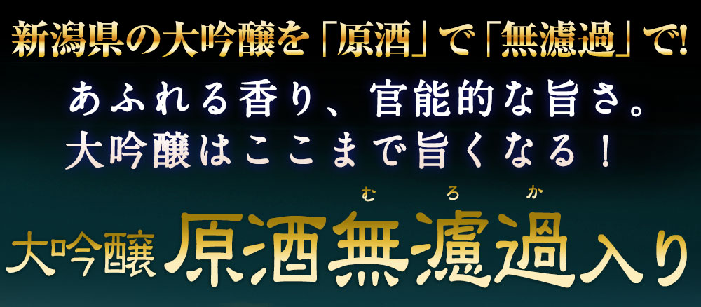 大ヒット「越乃五蔵」の名門、再び！