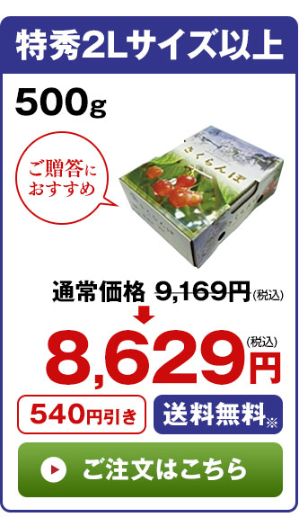 さくらんぼ職人の佐藤錦　特秀2品Lサイズ以上 500g