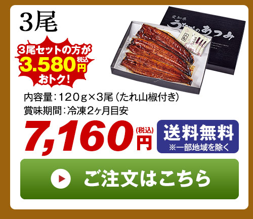 丑の日 うなぎ蒲焼き3尾