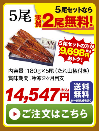 丑の日 うなぎ蒲焼き3尾