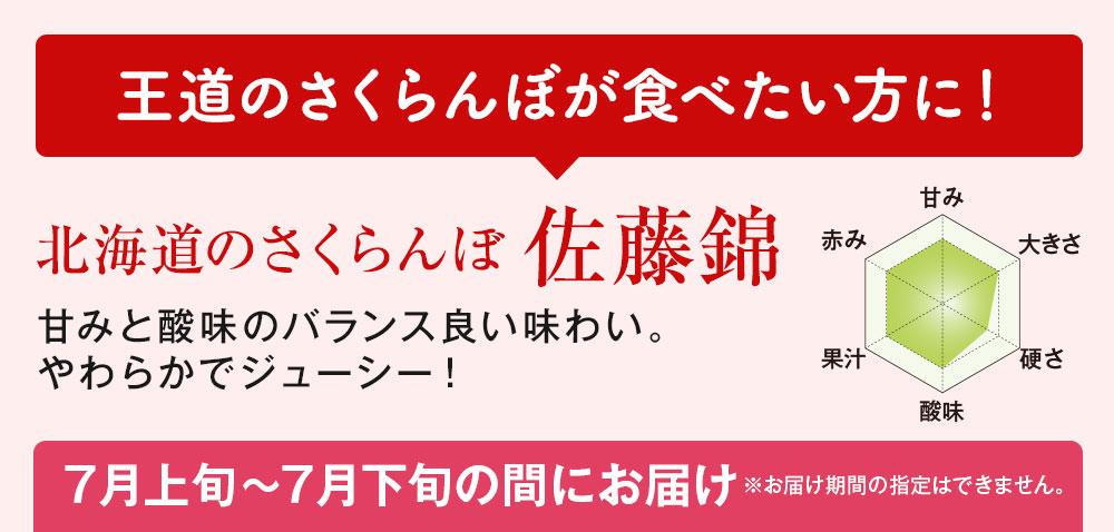 北海道のさくらんぼ佐藤錦