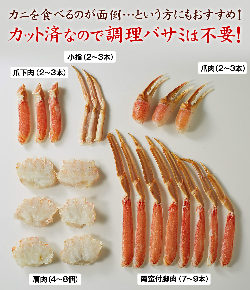 通常）生ずわいがに半むき身８００ｇ　食品通販のベルーナグルメ【公式】