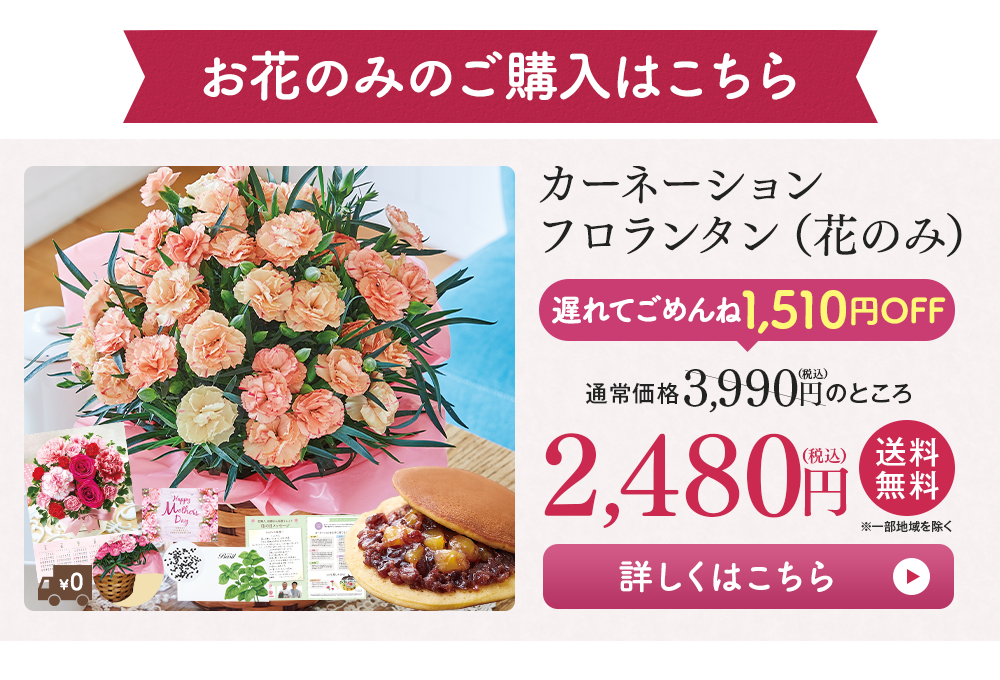 お花のみのご購入はこちら