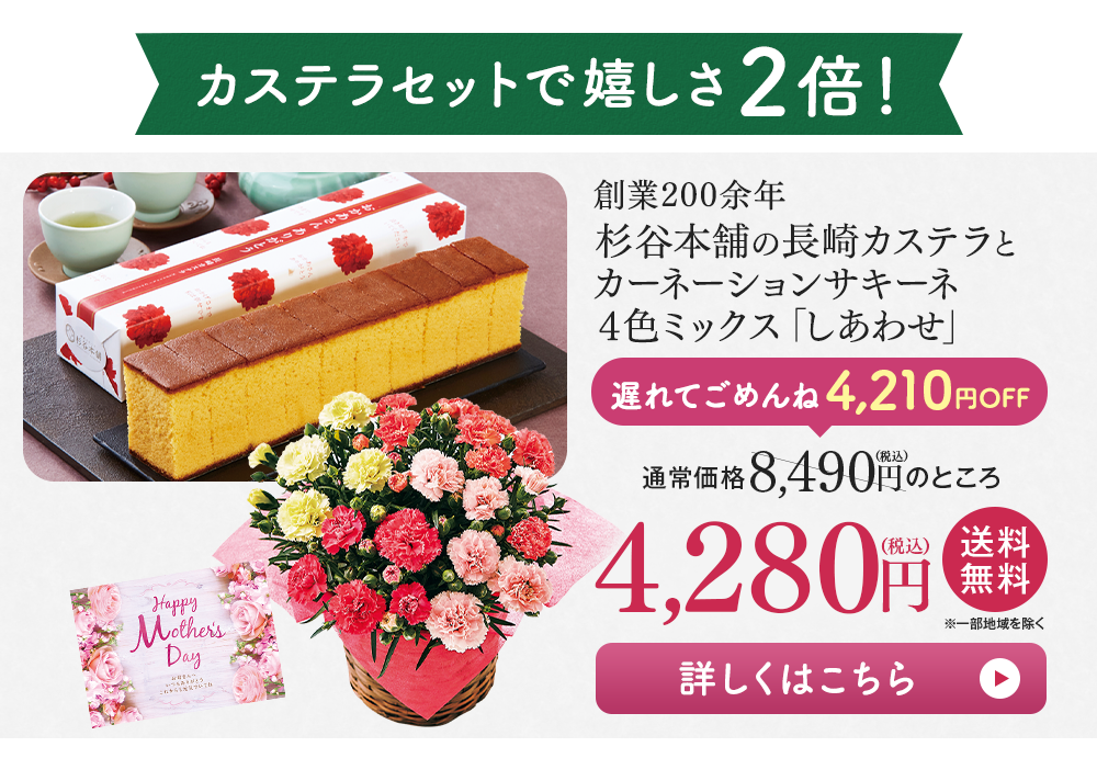 杉谷本舗の長崎カステラとカーネーションサキーネ4色ミックス「しあわせ」