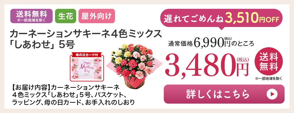 カーネーションサキーネ4色ミックス「しあわせ」