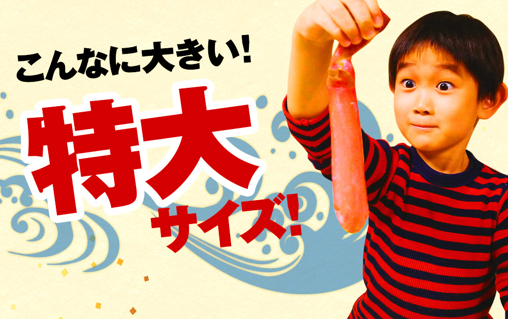 こんなに大きい！