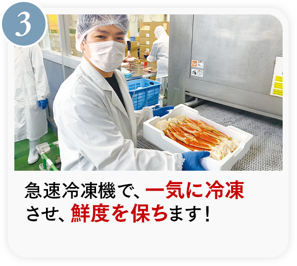 製造工程をご紹介