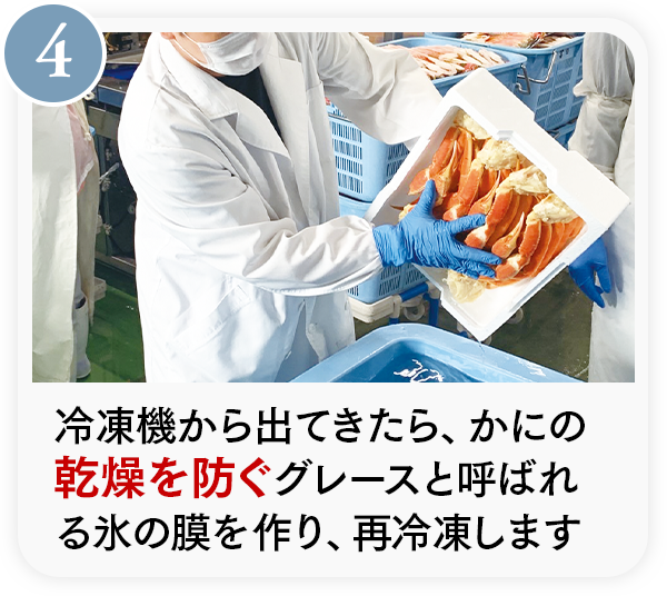 製造工程をご紹介