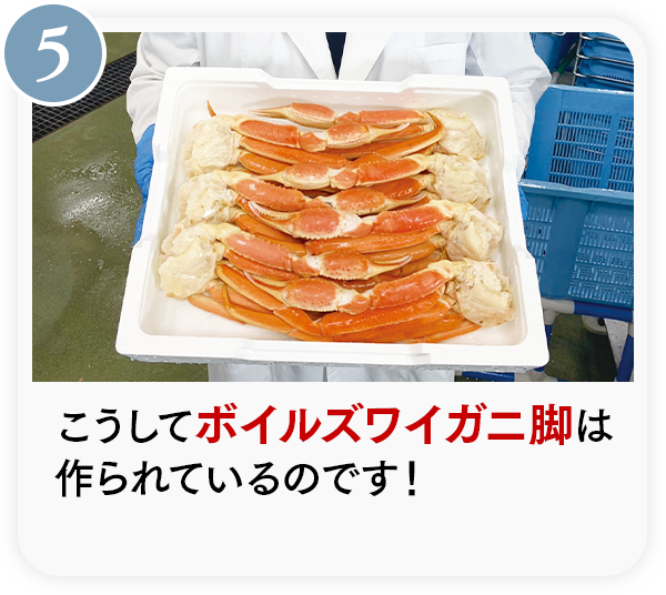 製造工程をご紹介