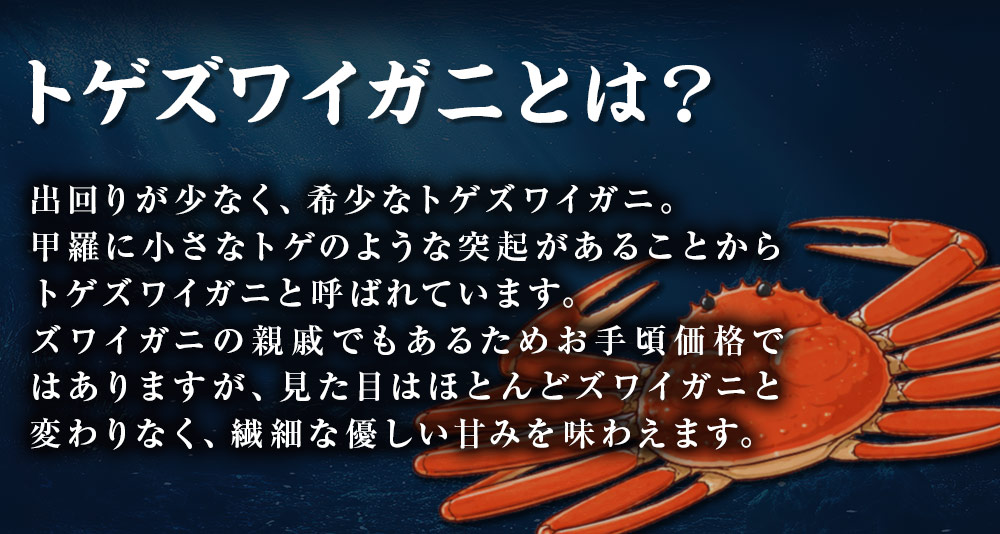 トゲズワイガニとは？