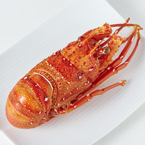 ロブスター